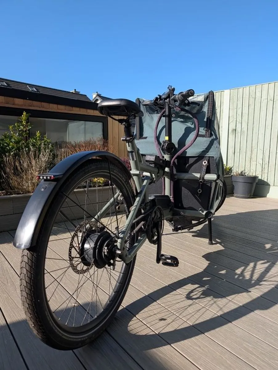 Riese and Muller Cargo e-Bike - Image 1