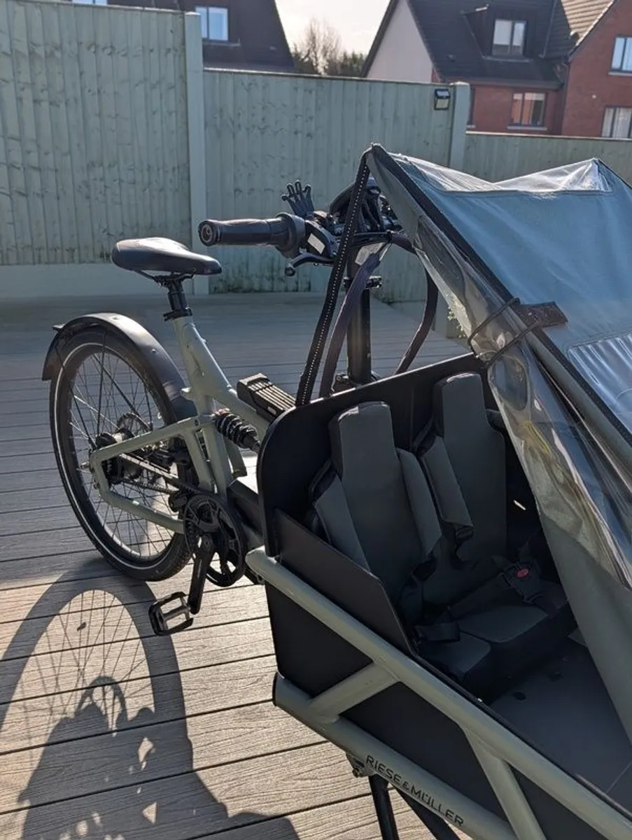 Riese and Muller Cargo e-Bike - Image 2