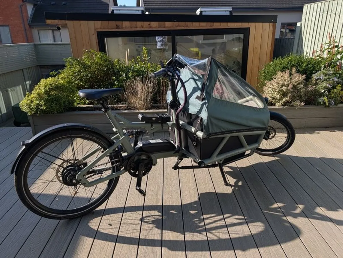Riese and Muller Cargo e-Bike - Image 3