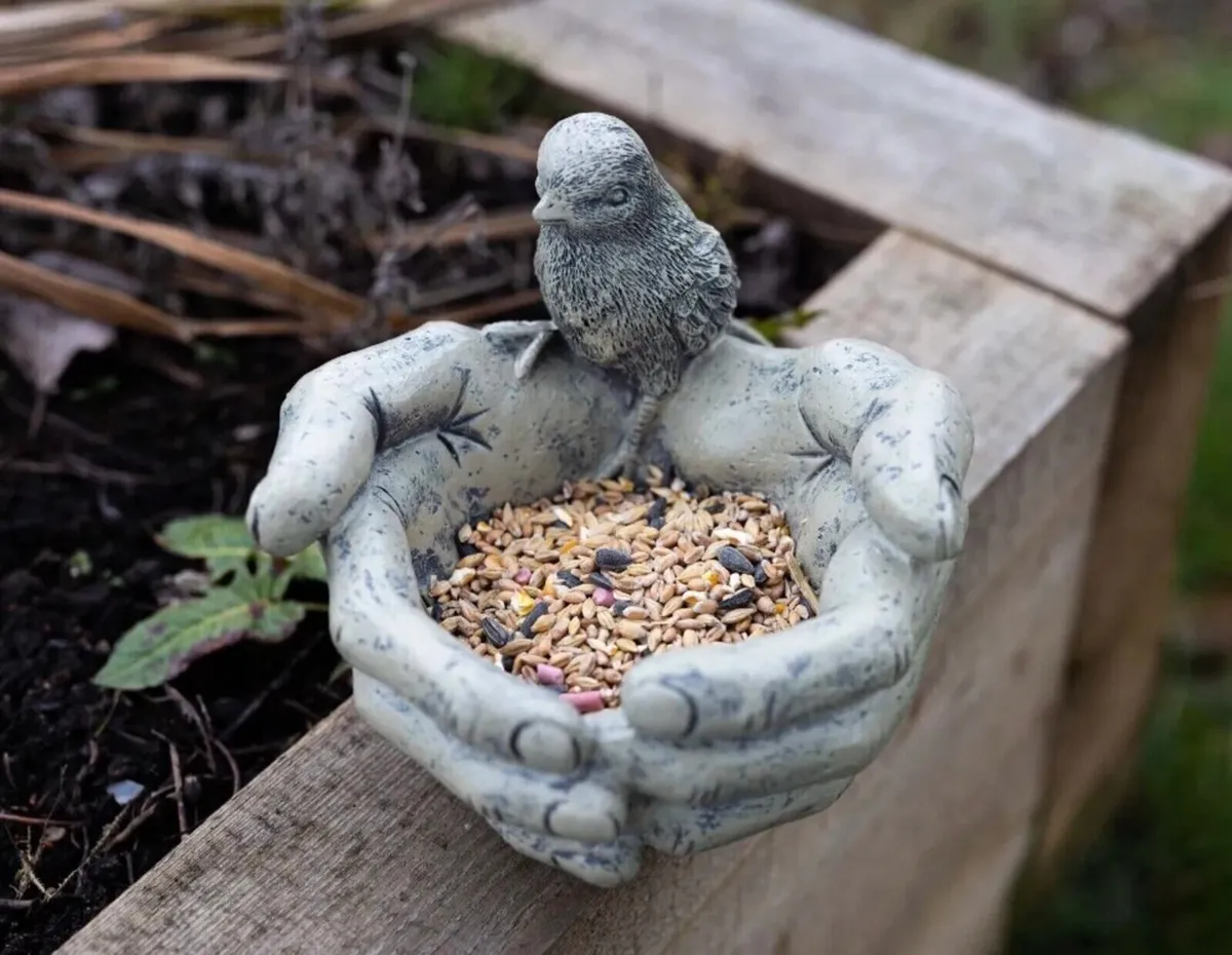 Hands Bird Feeder Bird on Hands NEW - Image 1