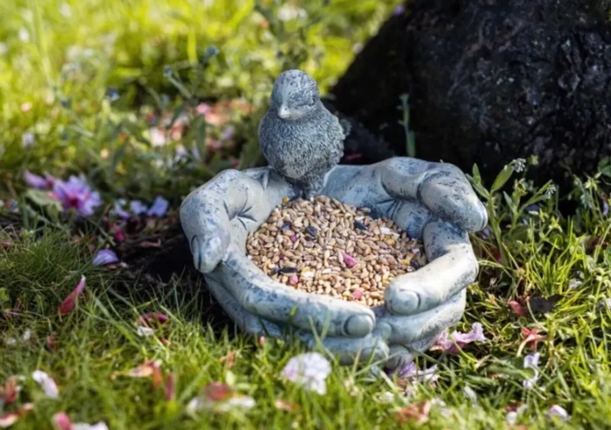 Hands Bird Feeder Bird on Hands NEW - Image 3