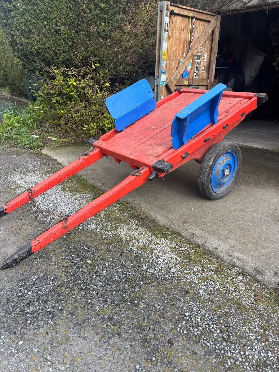 Donkeys Cart - Image 1