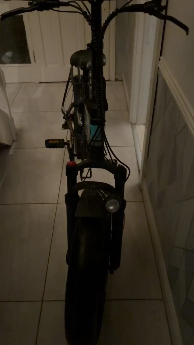 Fiido M1 Pro - Image 1