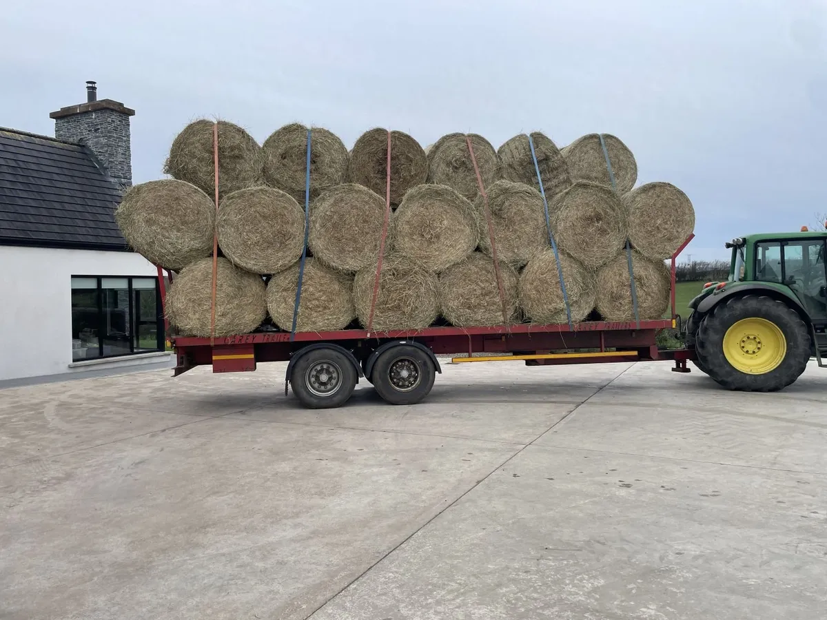 Hay - Image 2