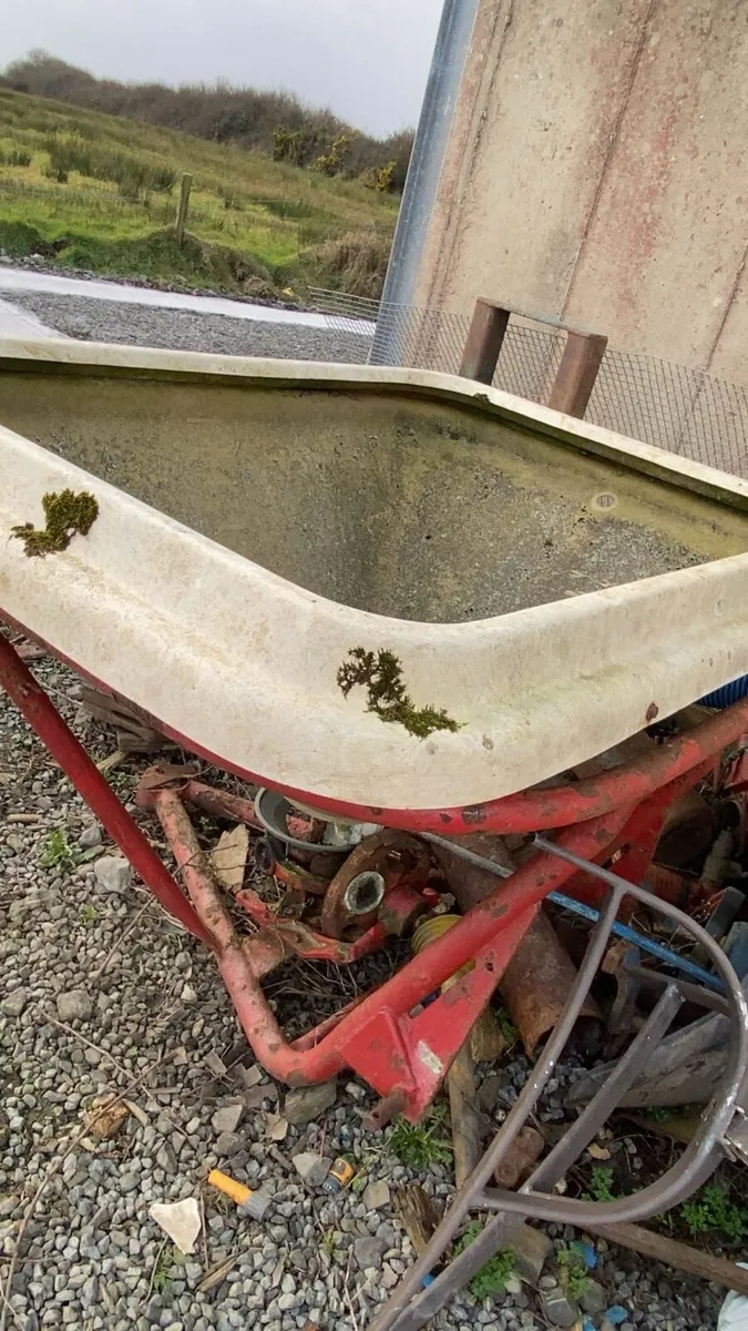 Abbie and vicon - Image 2