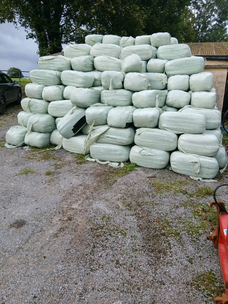 Square bales haylage - Image 3