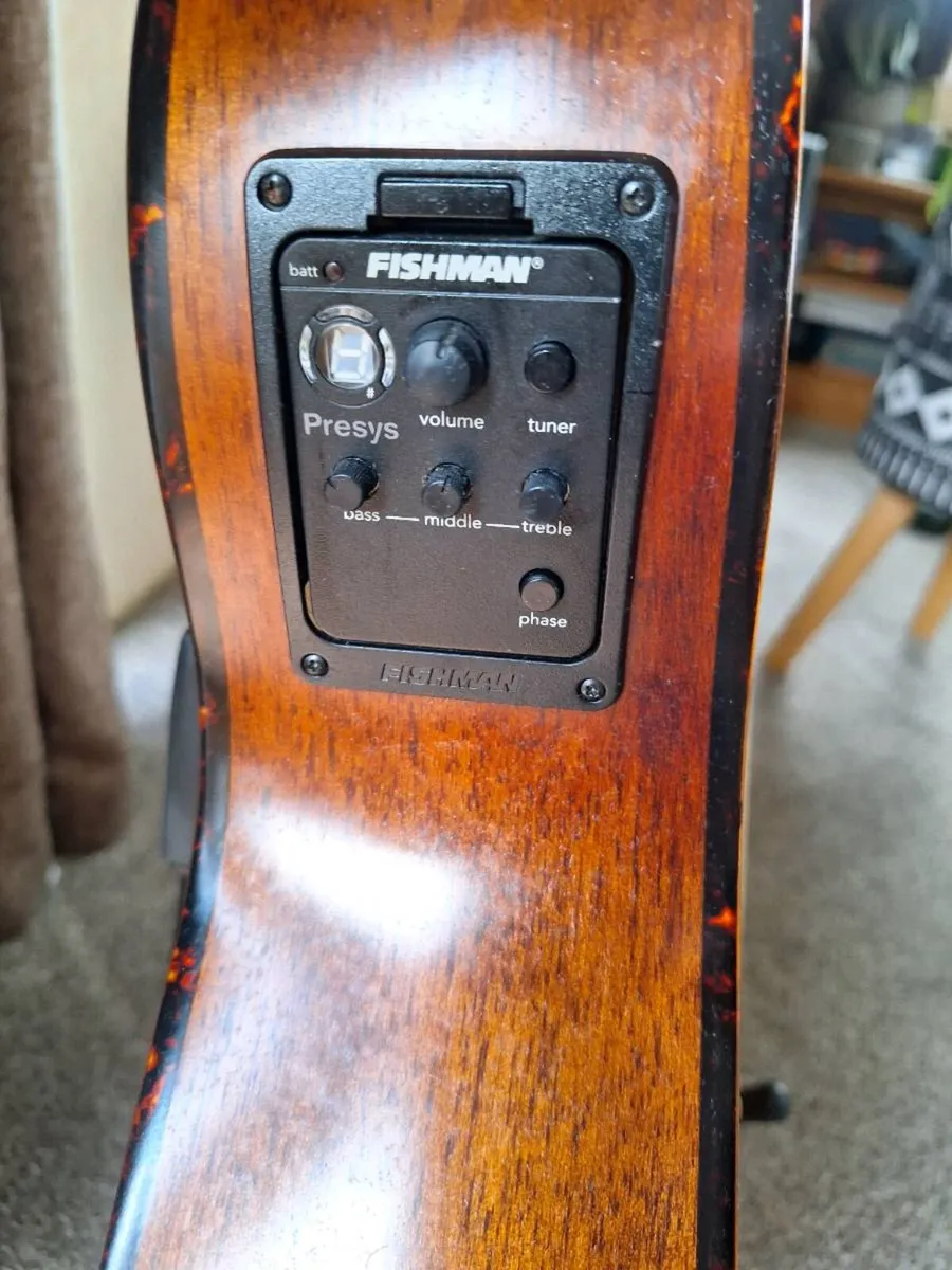 Recording king Acoustic guitar - Image 4