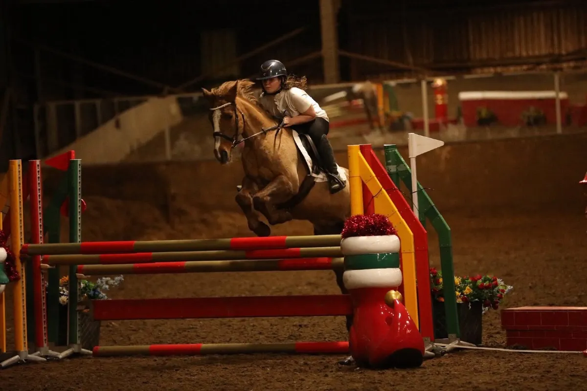 Stunning chestnut 138 schoolmaster - Image 2