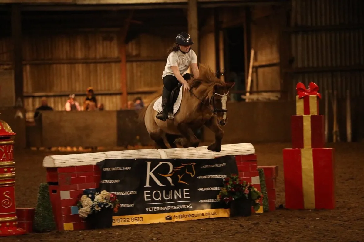 Stunning chestnut 138 schoolmaster - Image 3