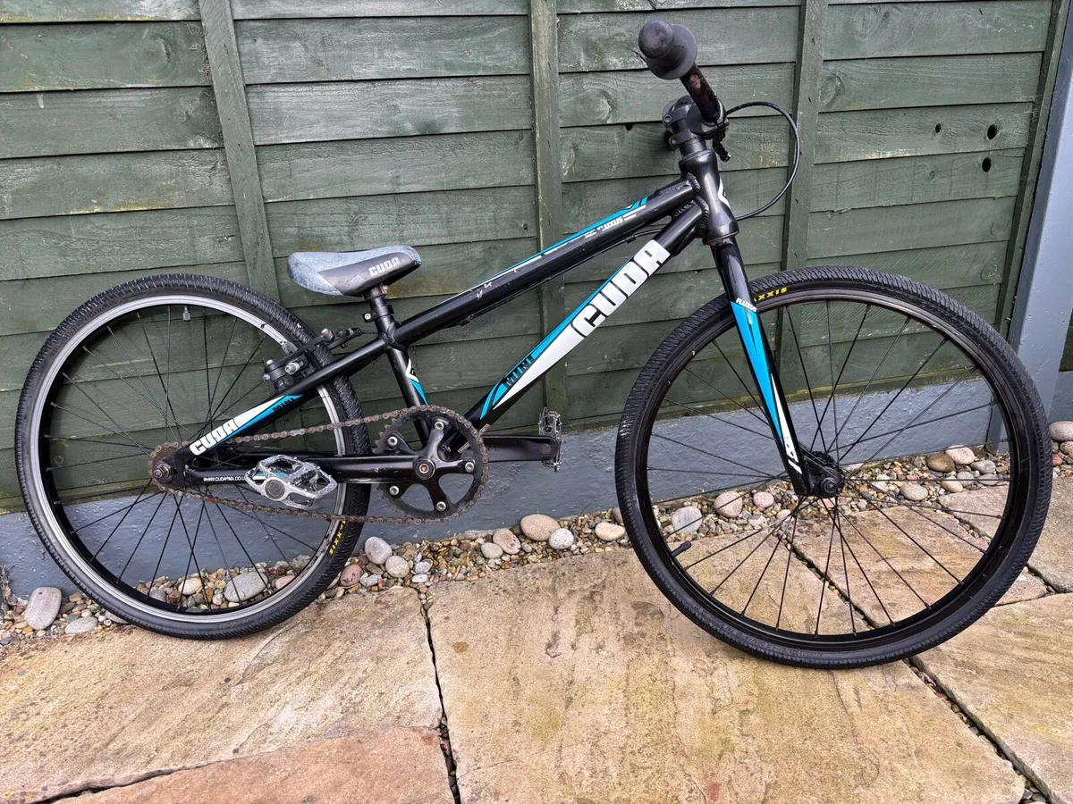 Racing BMX - Image 1