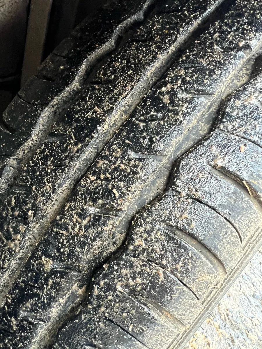 Cattle trailer - Image 4