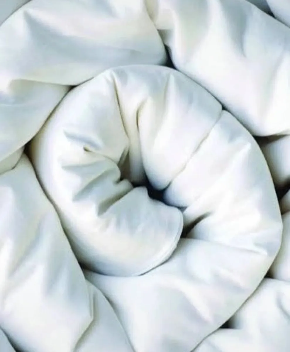 Silk Duvet - Image 1