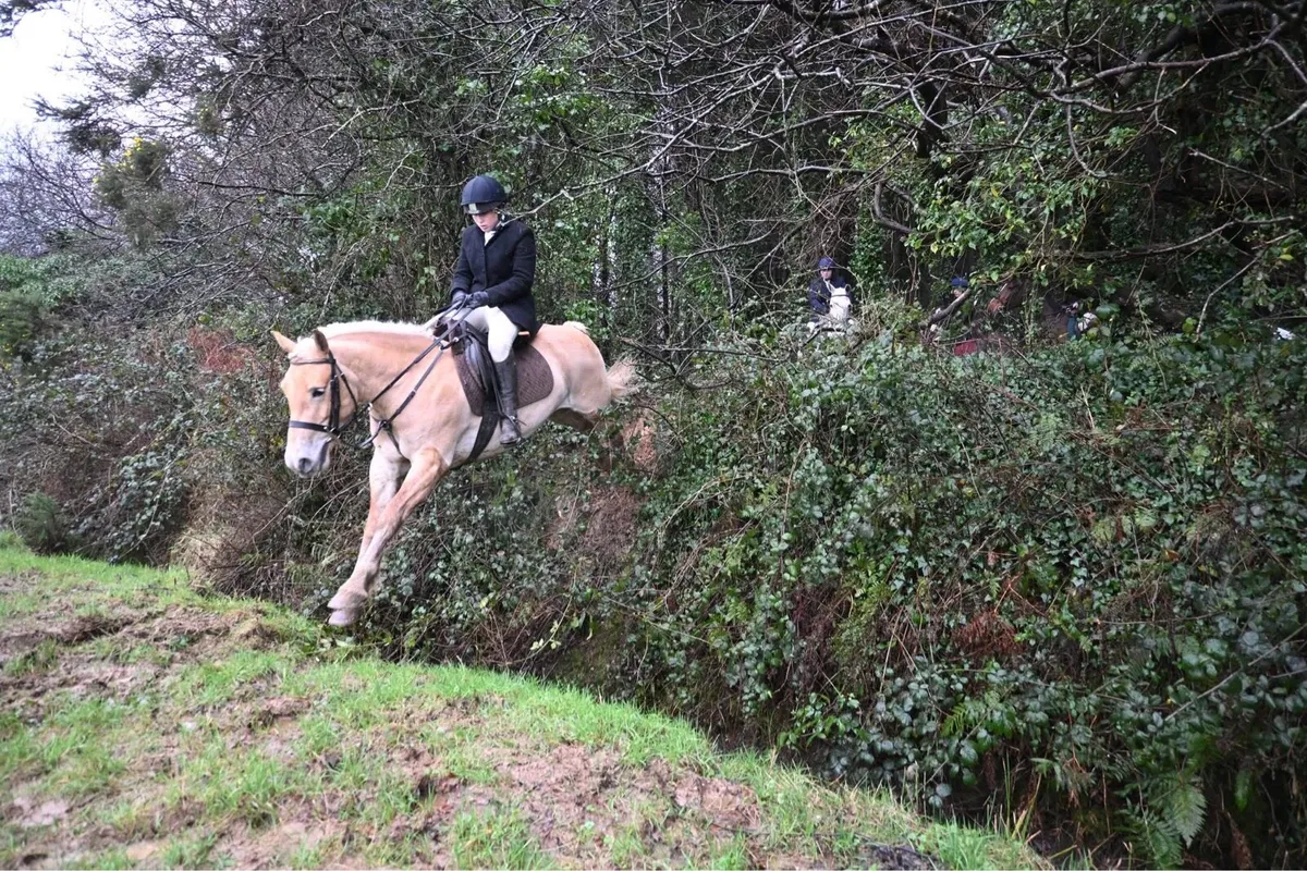 5 quality cobs - Image 2