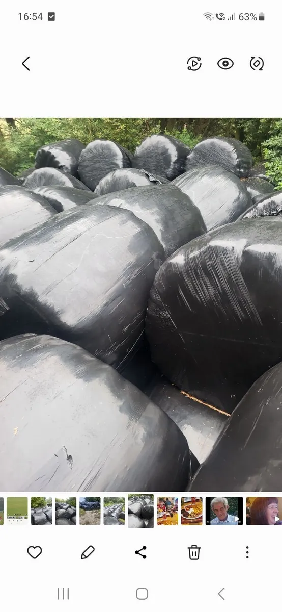 Silage bales - Image 2