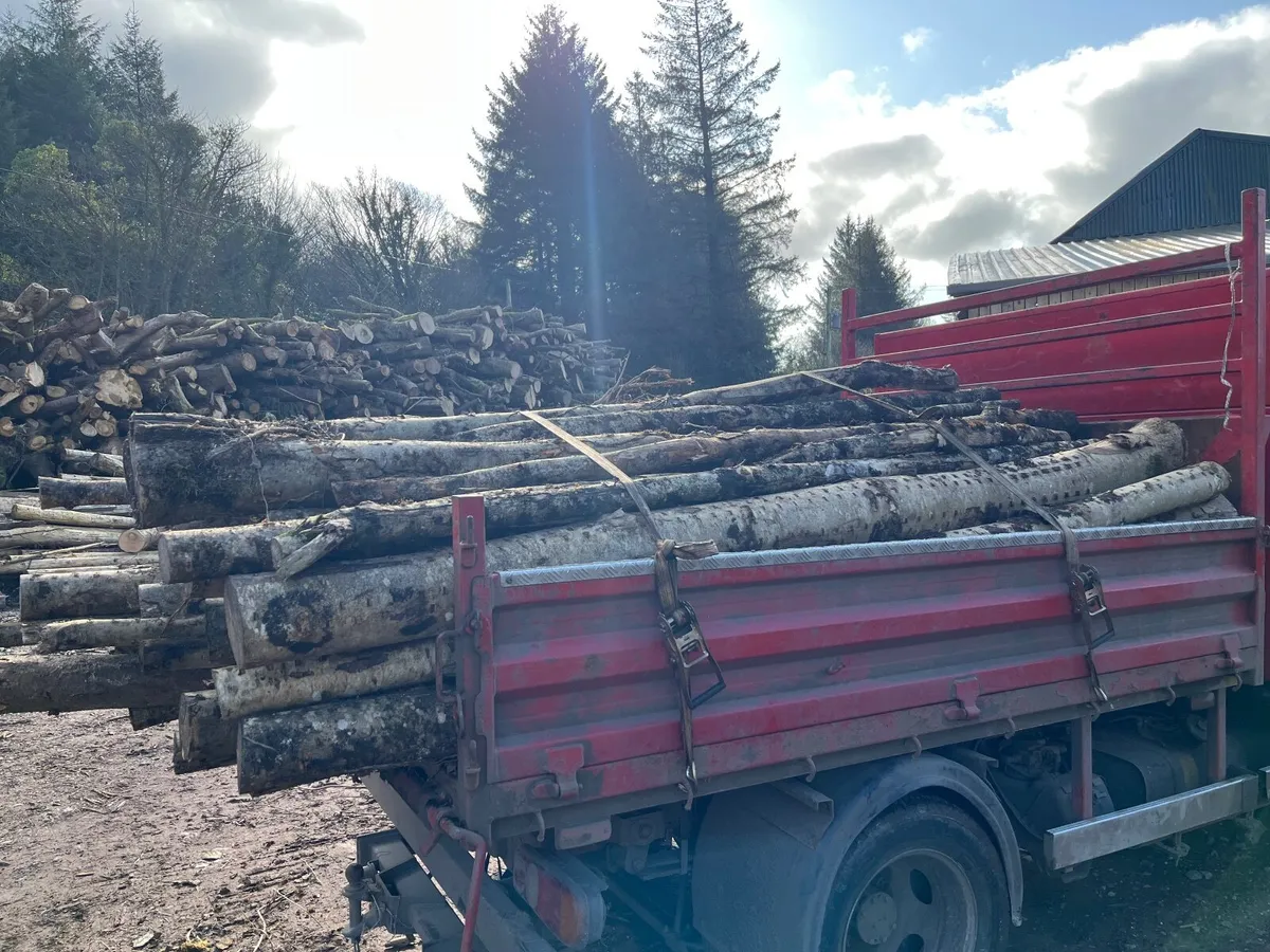 Firewood logs - Image 2