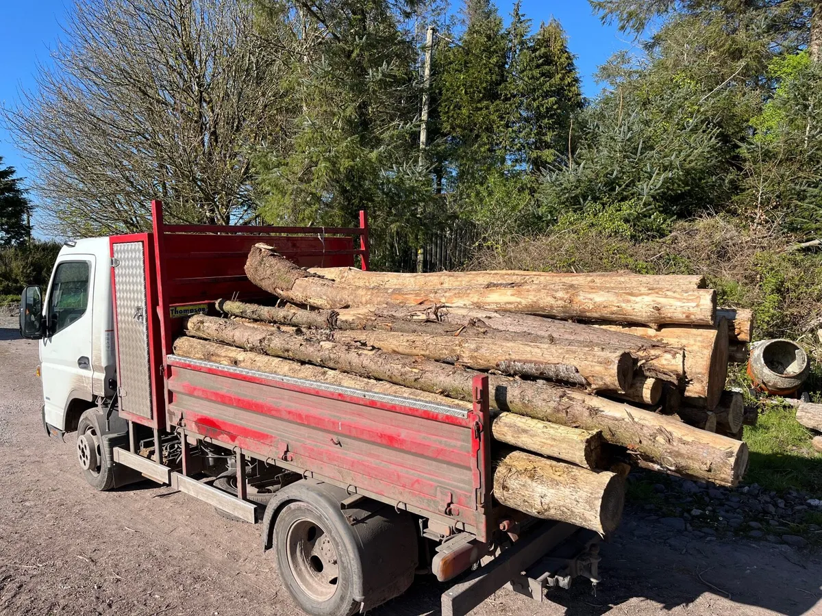 Firewood logs - Image 4