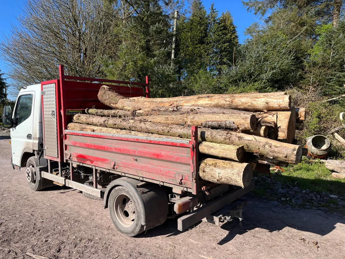 Firewood logs - Image 1