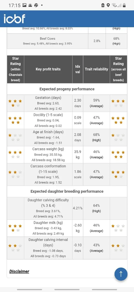 PBNR Charolais Bull - Image 4