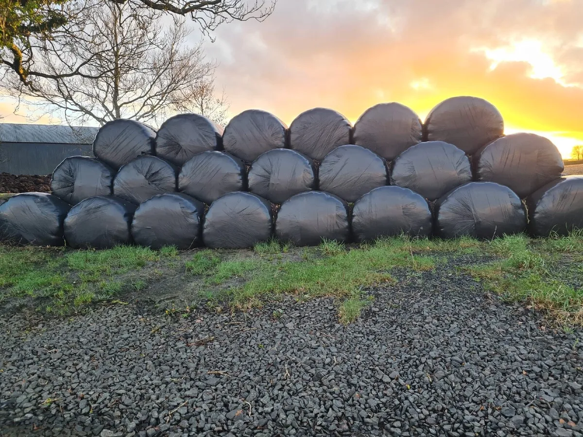 Good quality round bale silage