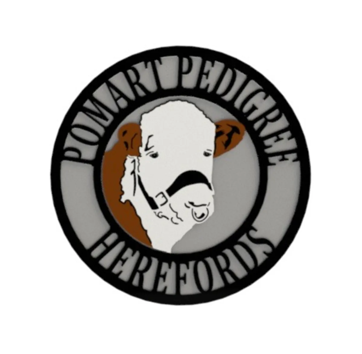 Choice of Pedigree Hereford Bulls 4 & 5 Stars - Image 2