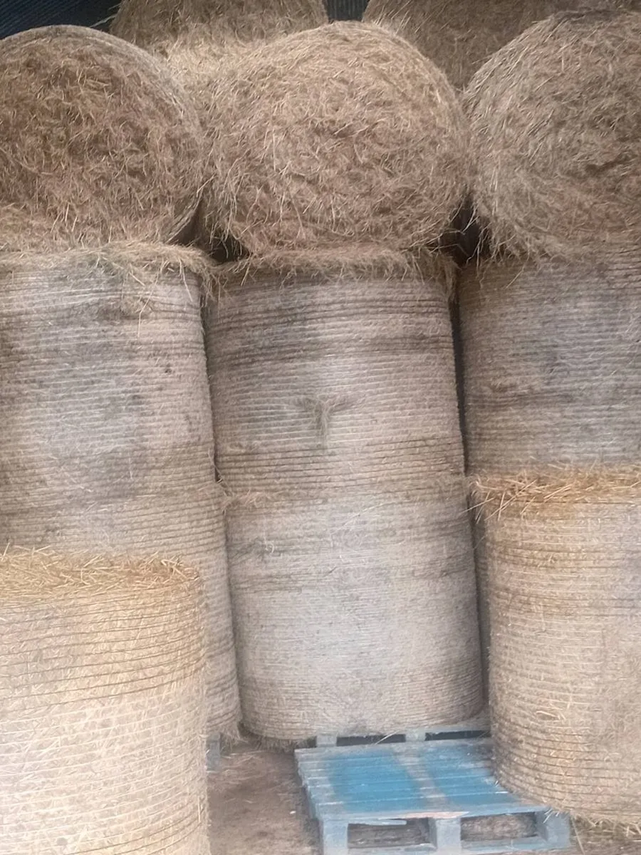 Organic Hay - Image 2