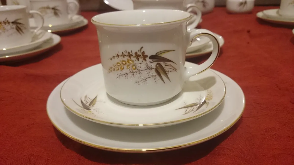 41 Pc. Winterling Bavaria Germany 12 Person Teaset - Image 4