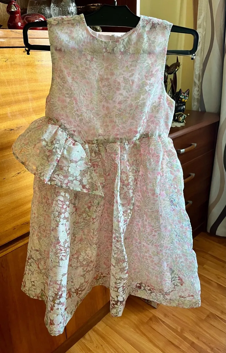 Leigh Tuckers dress - Image 1