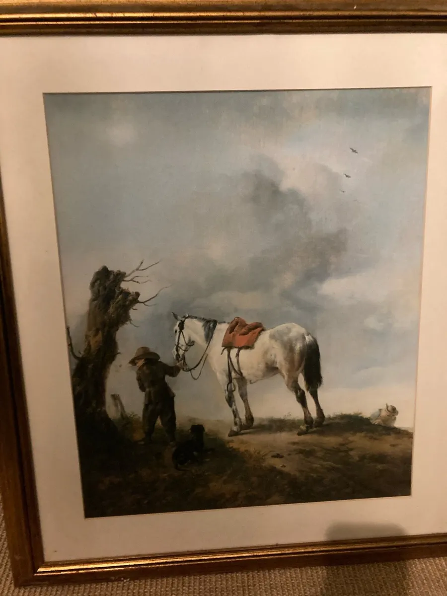 The grey horse ‘ framed print - Image 1