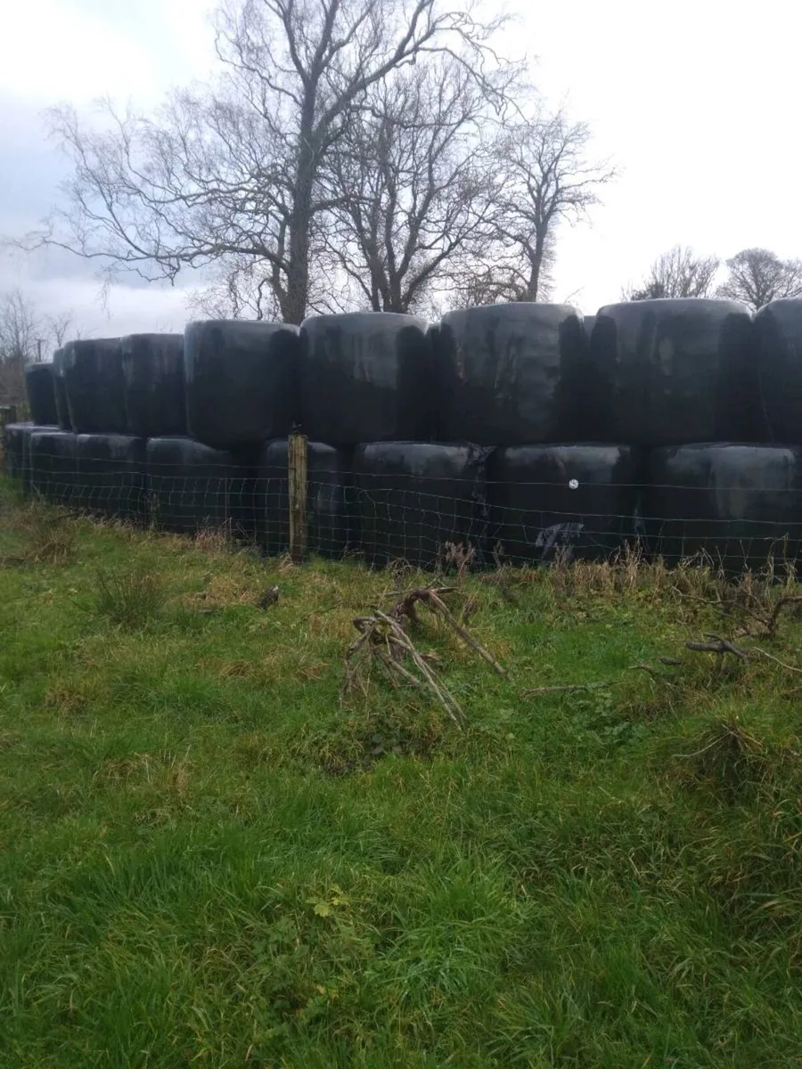 Straw/ silage for sale.