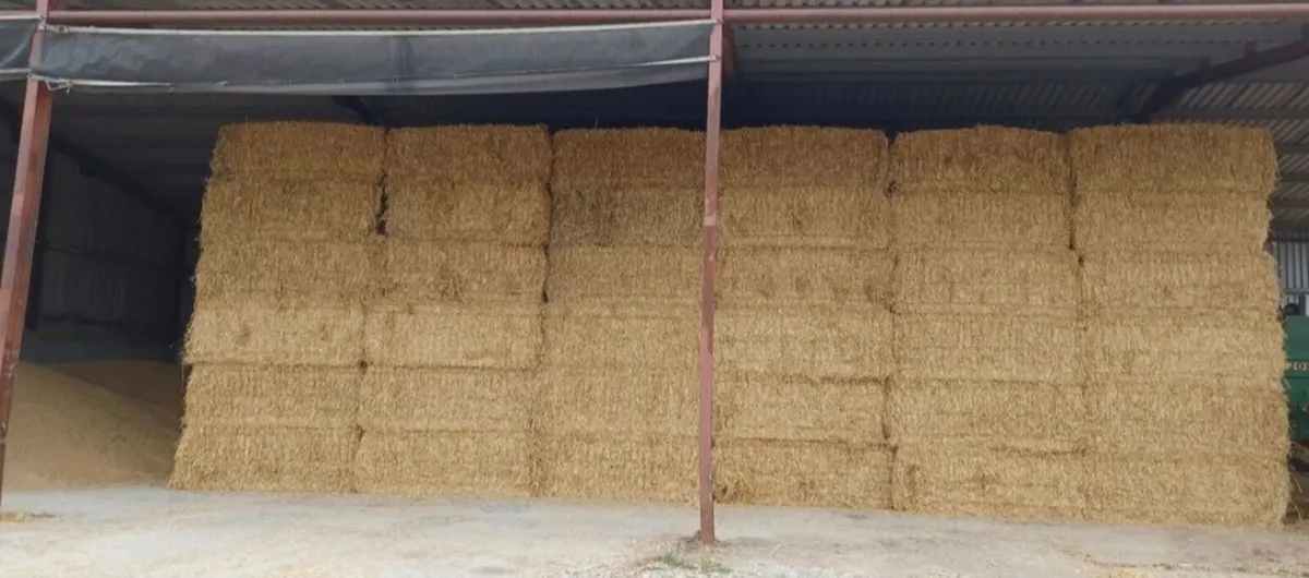 Straw - Image 2