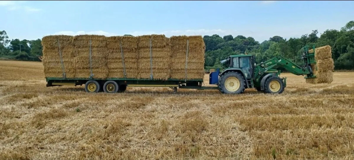 Straw - Image 4