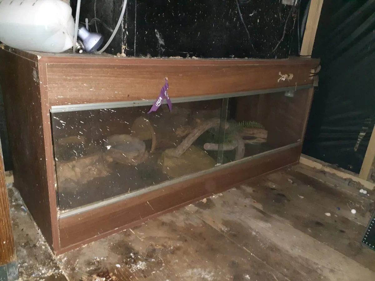 2x reptile vivariums - Image 2