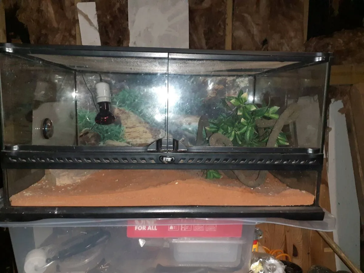 2x reptile vivariums - Image 1