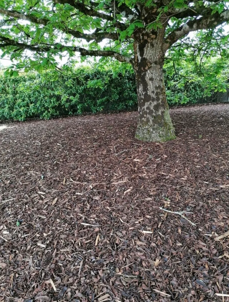 Mulch - Image 2