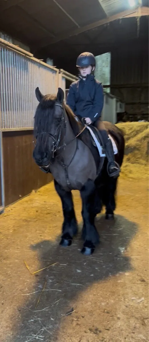 💫beauty 132cm kids pony💫 - Image 1