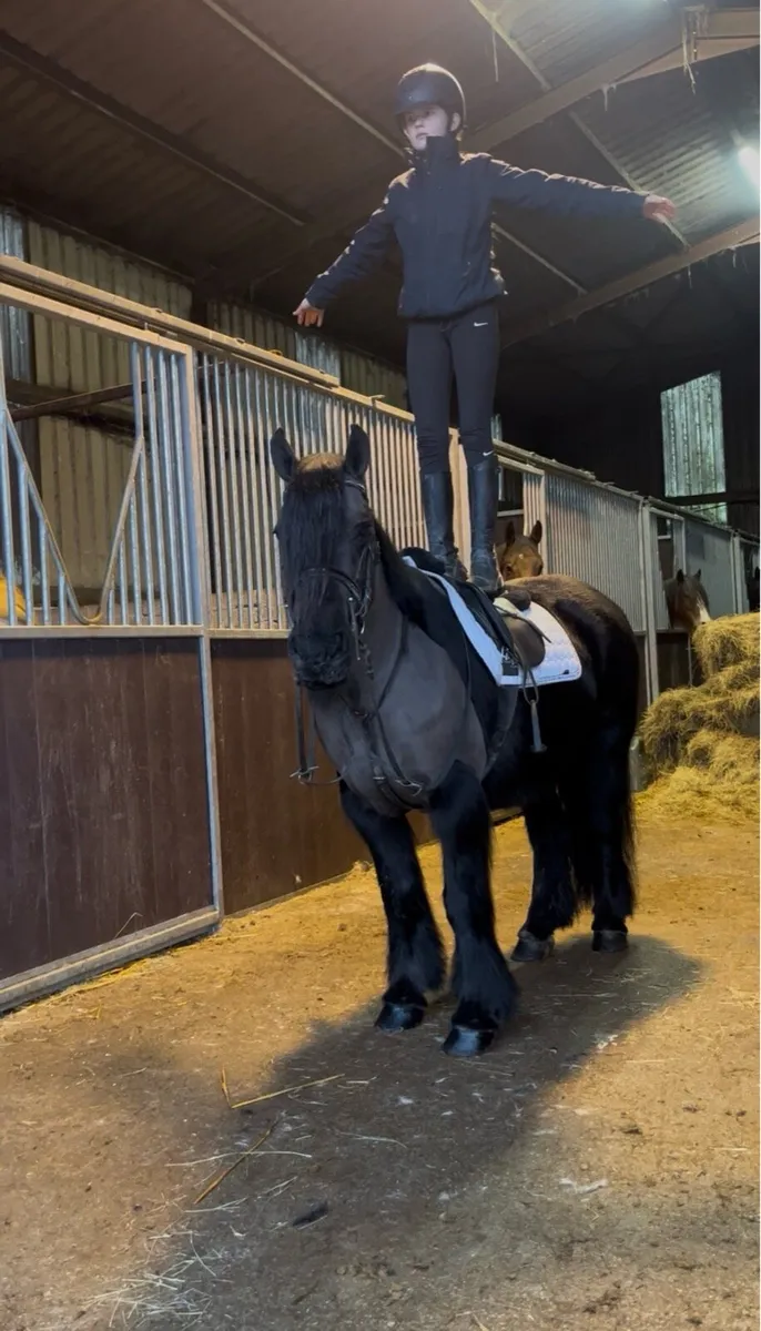 💫beauty 132cm kids pony💫 - Image 2