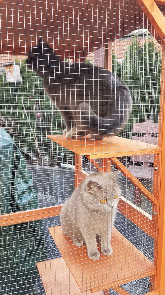 CATIO CATTERY PLAYPEN ..FREE DELIVERY - Image 1