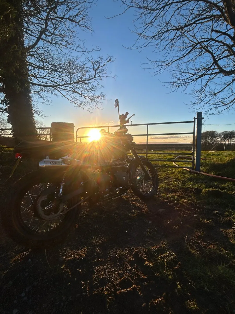 Triumph scrambler 900 - Image 4