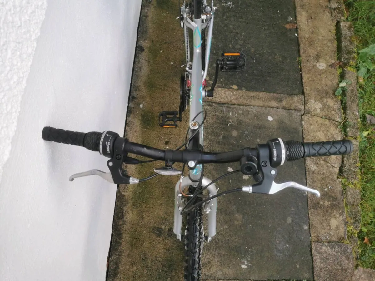 bike for sale - Image 3