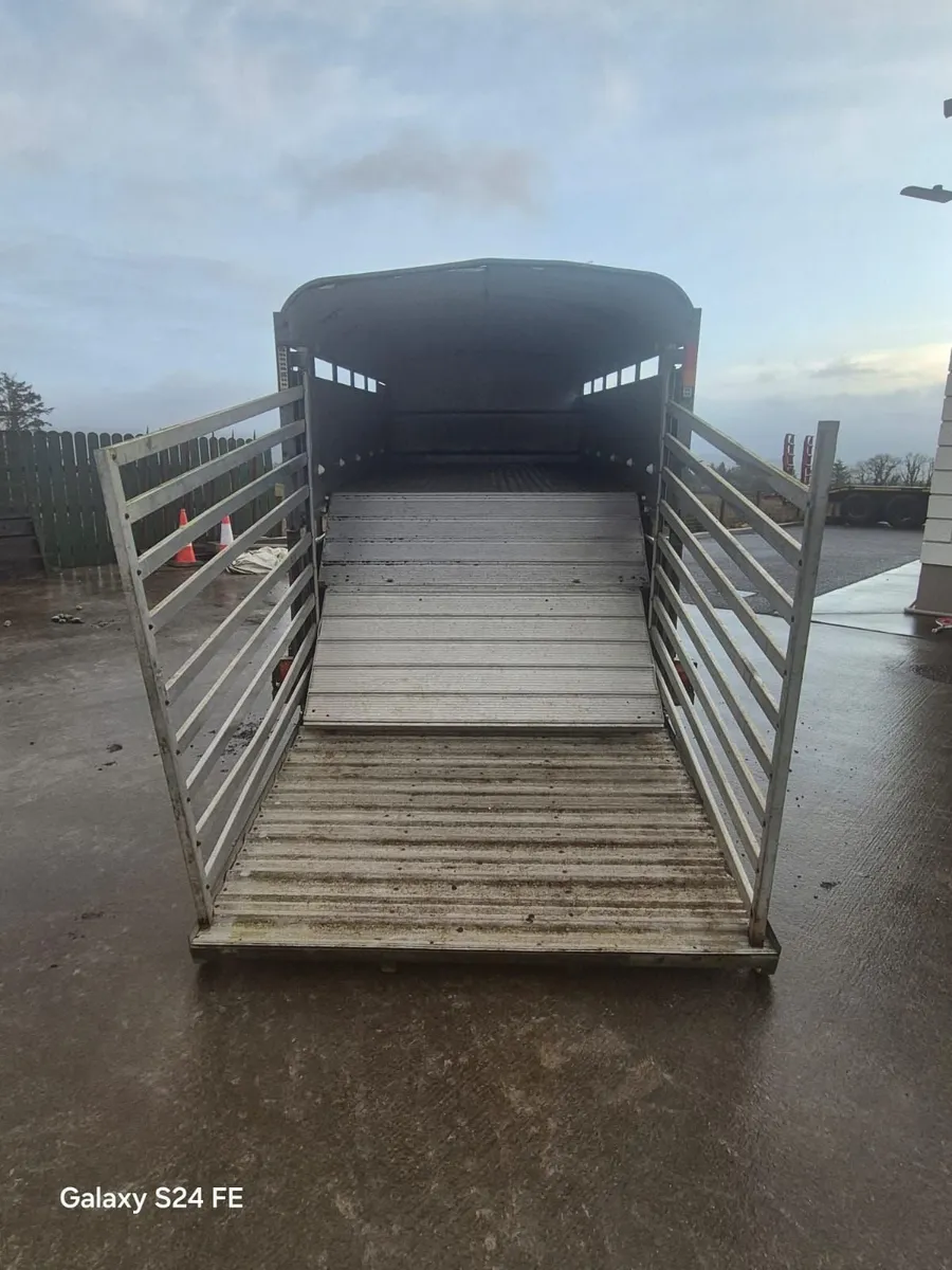 Cattle trailer - Image 2