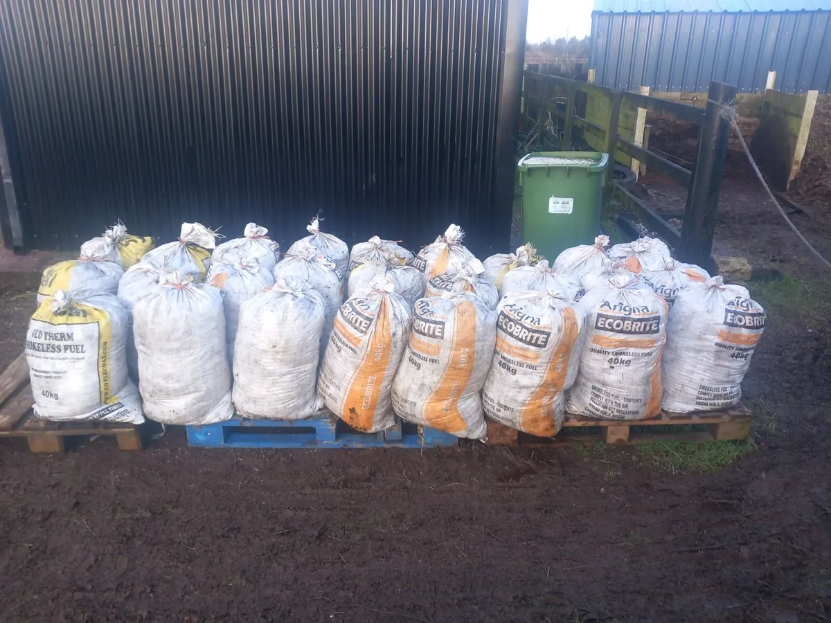 Horse Manure - Image 1