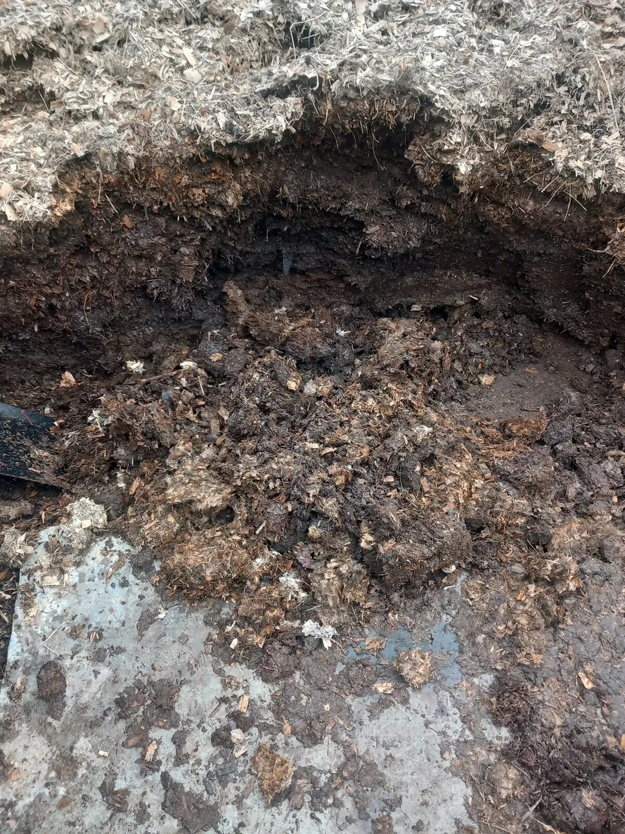 Horse Manure - Image 3