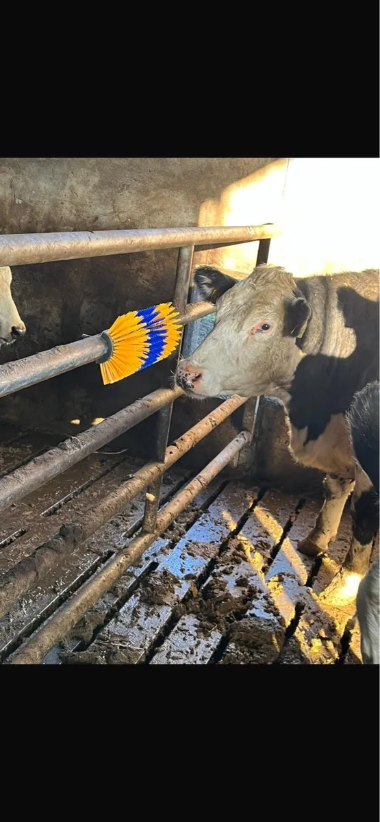 Gate/wall cow brushes - Image 1