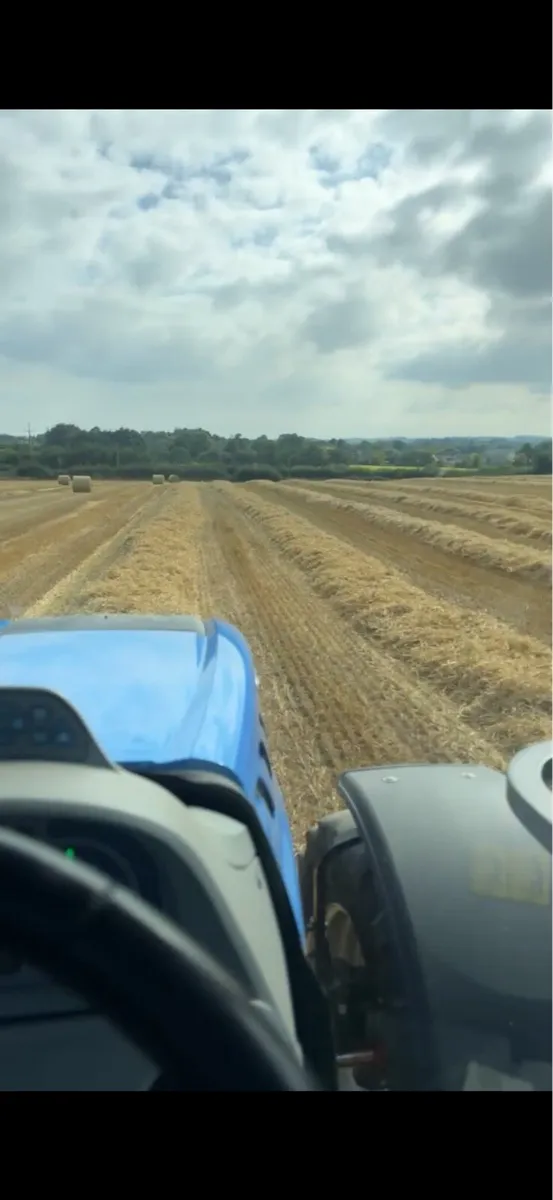 Silage and straw for sale - Image 1