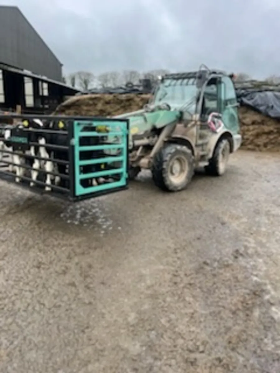 Kramer loader cage ( calf transporter) - Image 4