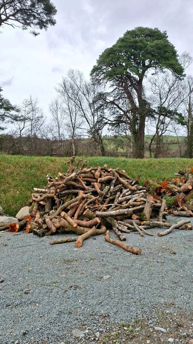 Fire wood - Image 2