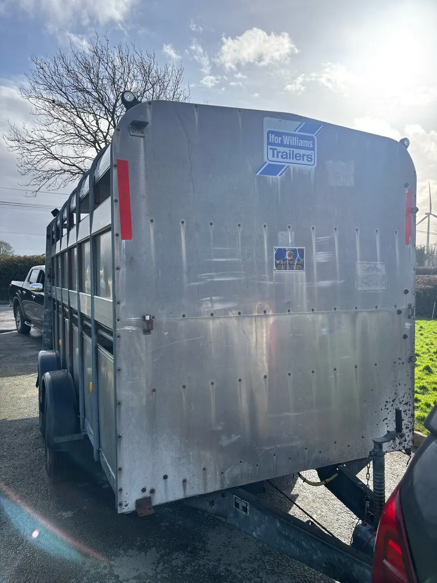 Iforwilliams cattle trailer - Image 1