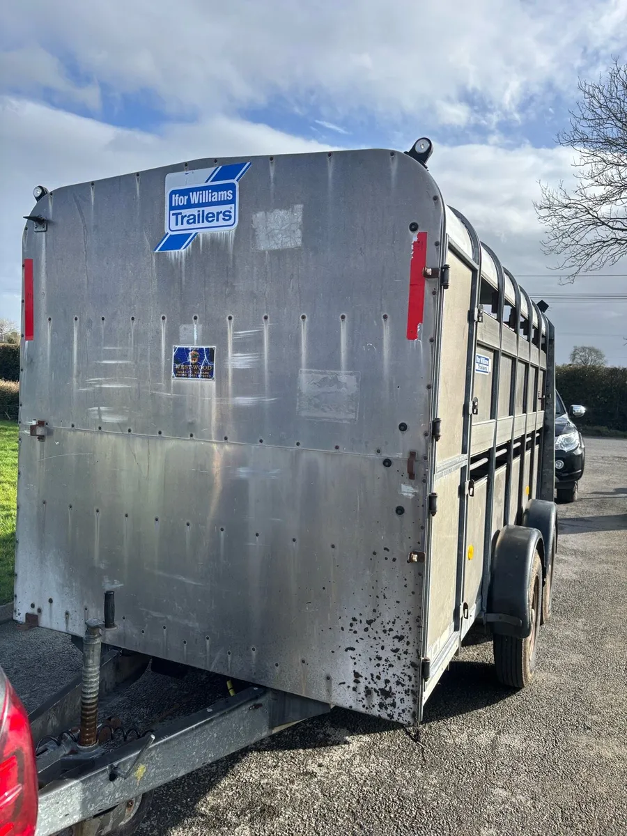 Iforwilliams cattle trailer - Image 2