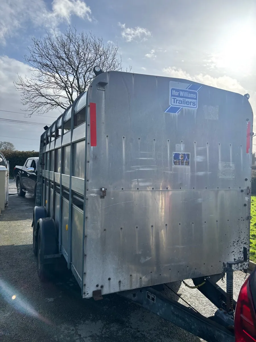 Iforwilliams cattle trailer - Image 3