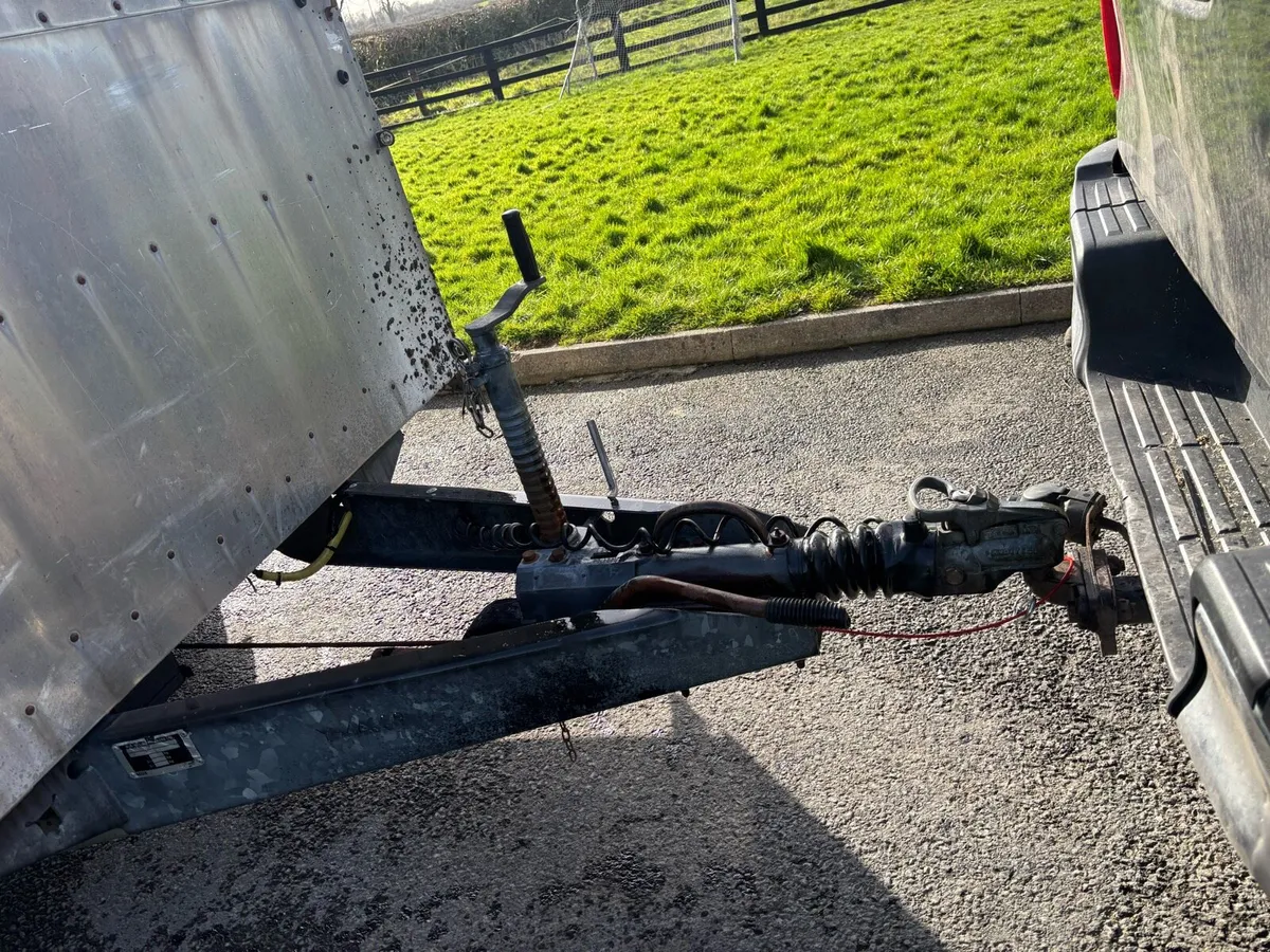 Iforwilliams cattle trailer - Image 4